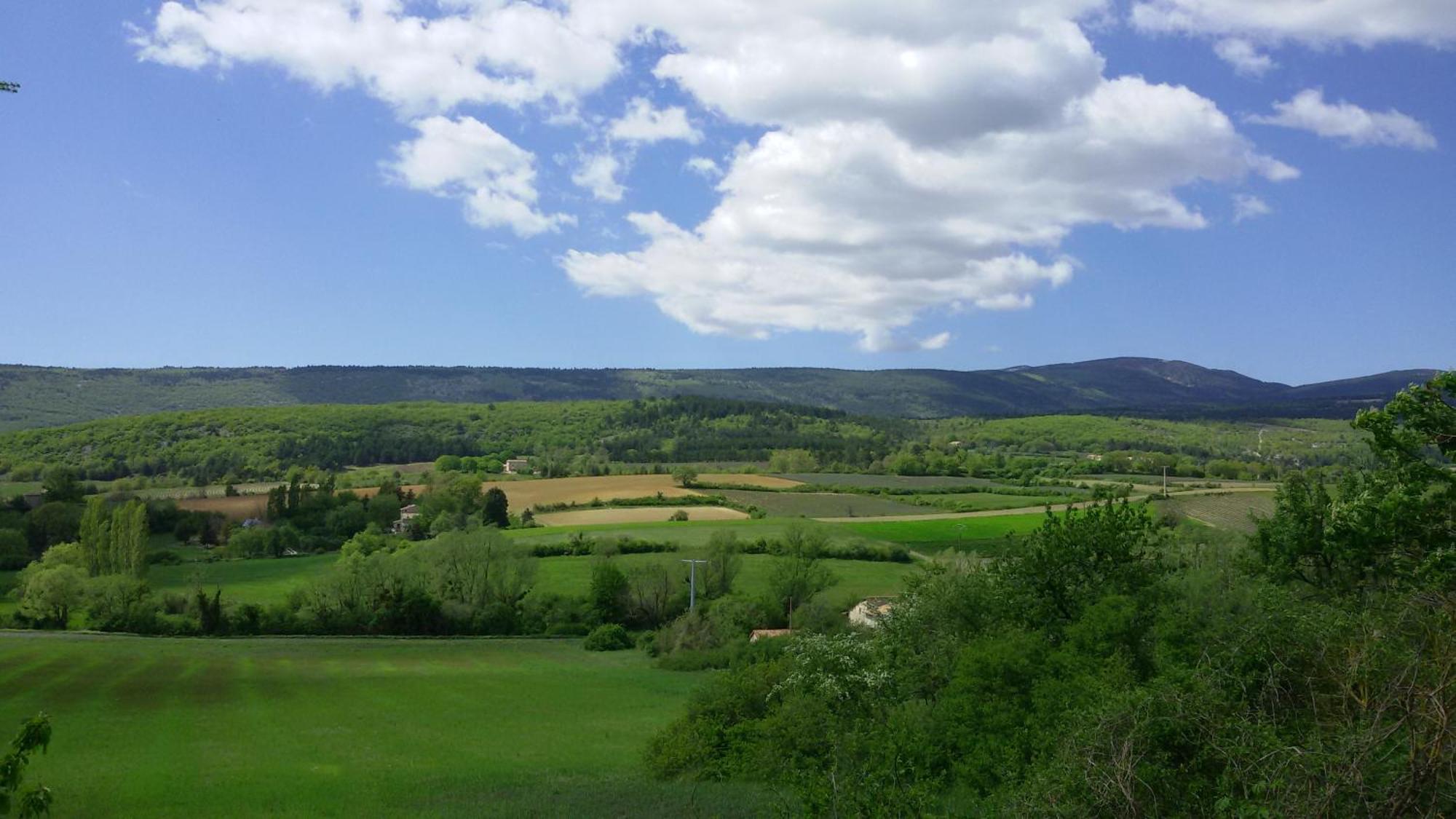 Le Grain De Lavande - Mont Ventoux Sault Extérieur photo